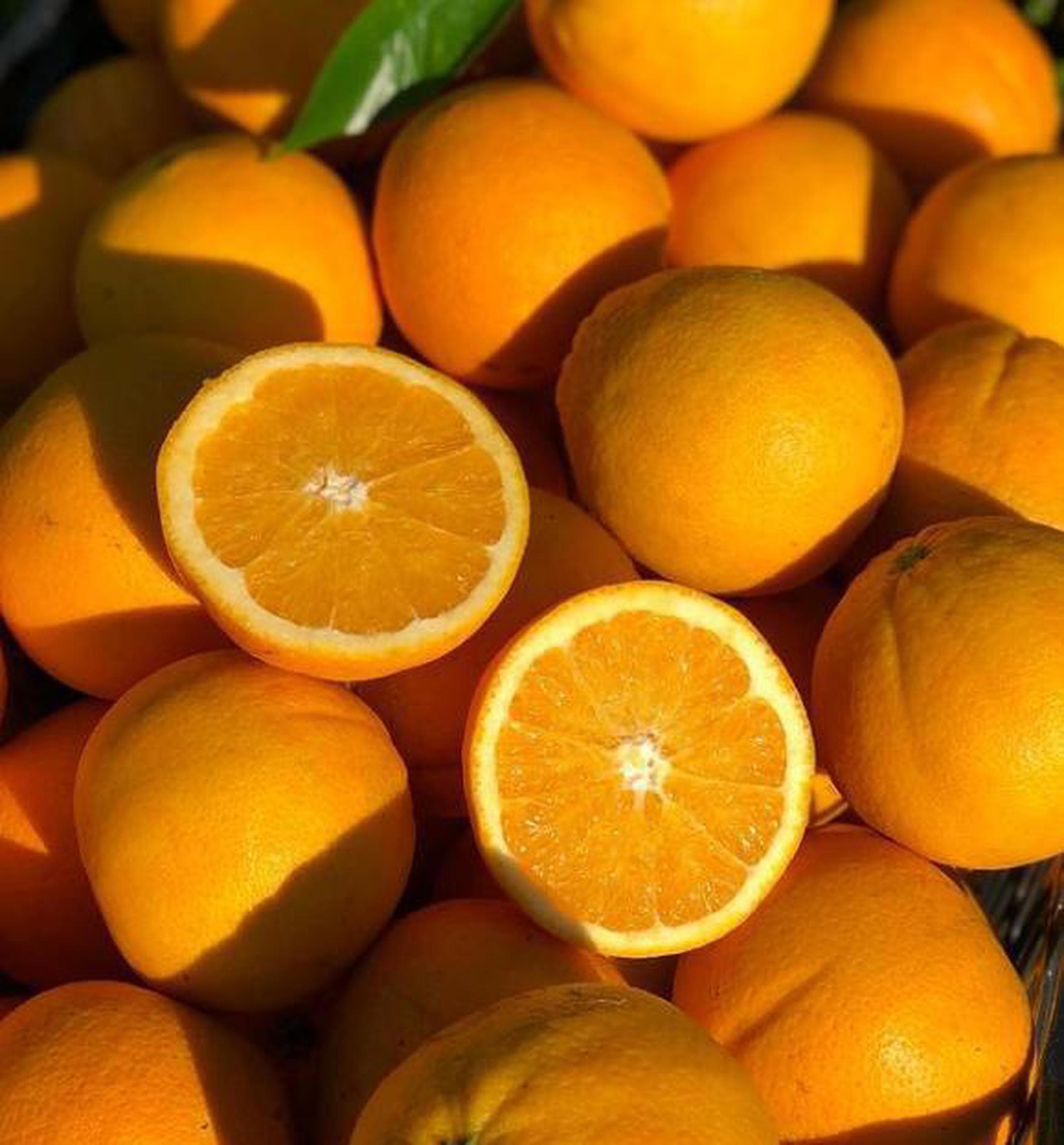 Oranges Naval BD Bulk